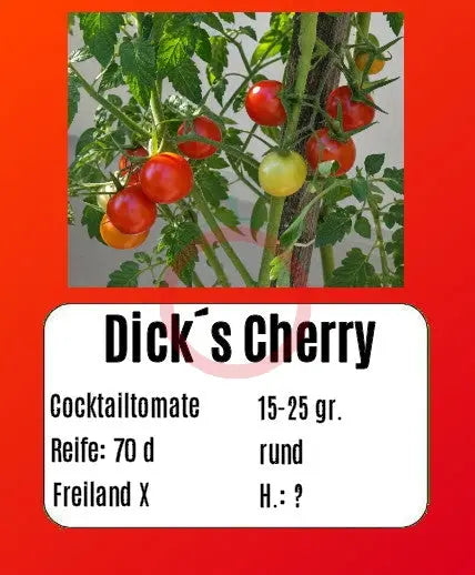 Dick´s Cherry DER TOMATENFLÜSTERER