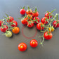 Dick´s Cherry DER TOMATENFLÜSTERER