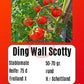 Ding Wall Scotty DER TOMATENFLÜSTERER