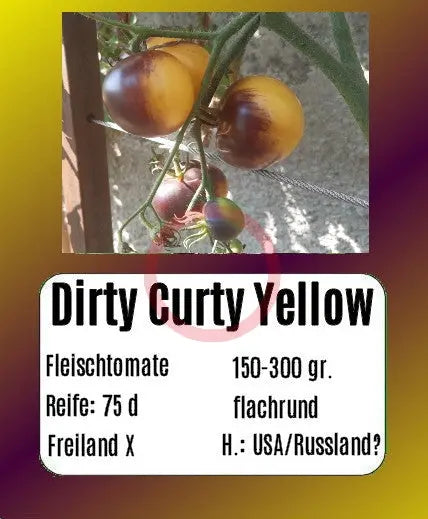 Dirty Curty Yellow DER TOMATENFLÜSTERER