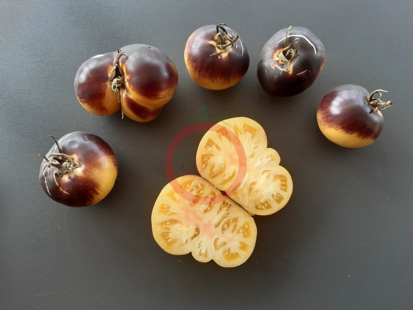 Dirty Curty Yellow DER TOMATENFLÜSTERER