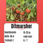 Ditmarsher DER TOMATENFLÜSTERER