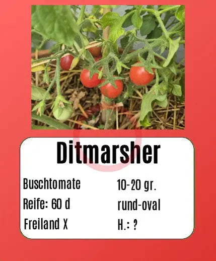 Ditmarsher DER TOMATENFLÜSTERER