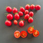 Ditmarsher DER TOMATENFLÜSTERER