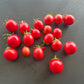 Ditmarsher DER TOMATENFLÜSTERER