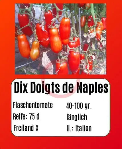 Dix Doigts de Naples DER TOMATENFLÜSTERER