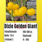 Dixie Golden Giant DER TOMATENFLÜSTERER