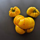 Dixie Golden Giant DER TOMATENFLÜSTERER
