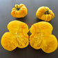 Dixie Golden Giant DER TOMATENFLÜSTERER