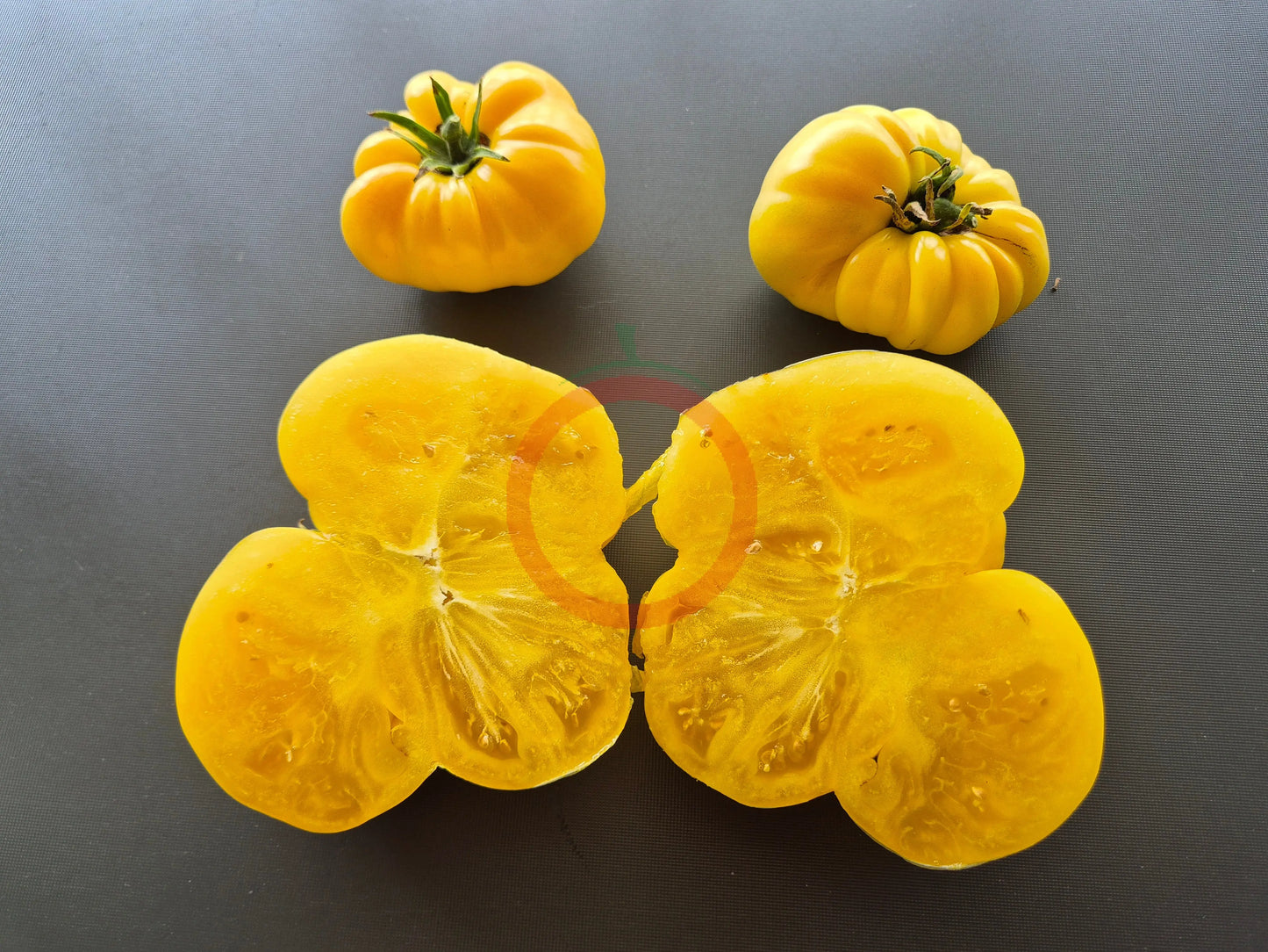 Dixie Golden Giant DER TOMATENFLÜSTERER