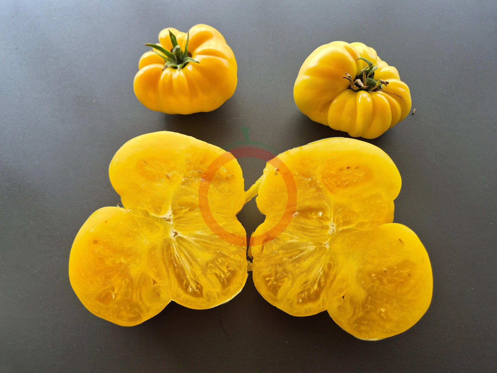 Dixie Golden Giant DER TOMATENFLÜSTERER