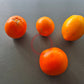 Djena Lee´s Golden Girl DER TOMATENFLÜSTERER
