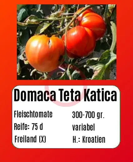 Domaca Teta Katica DER TOMATENFLÜSTERER