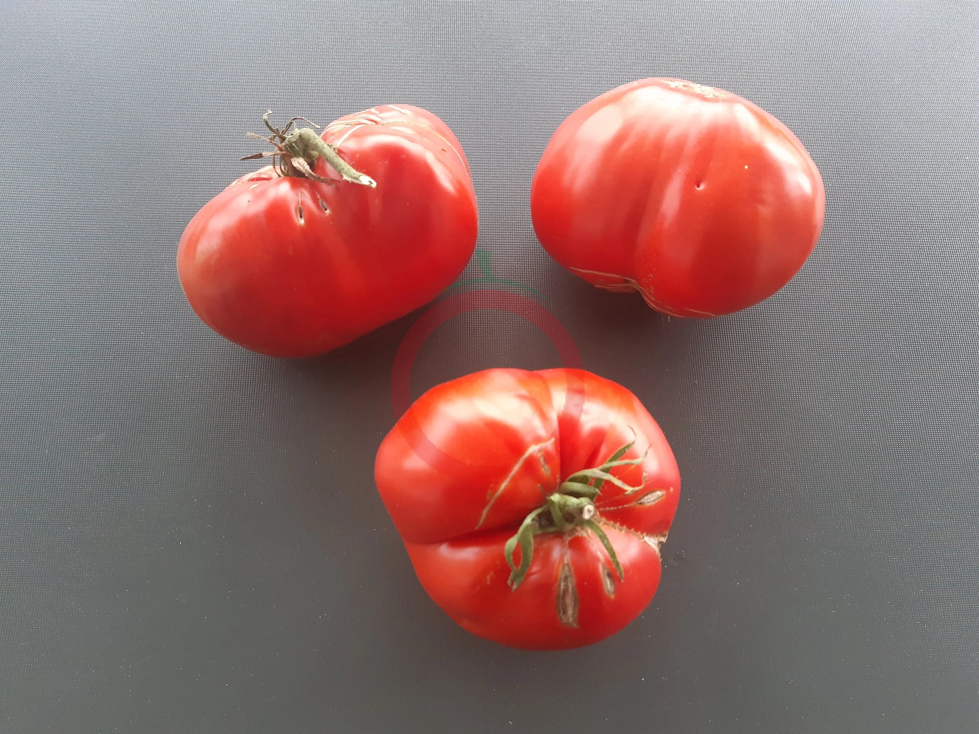 Domaca Teta Katica DER TOMATENFLÜSTERER