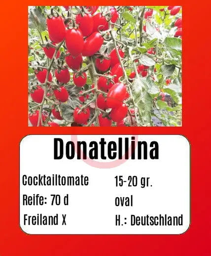 Donatellina DER TOMATENFLÜSTERER