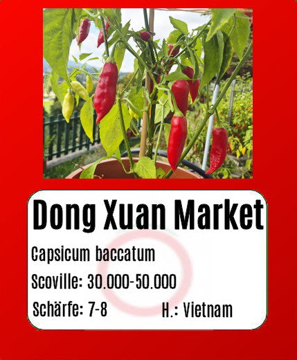 Dong Xuan Market DER TOMATENFLÜSTERER