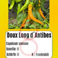 Doux Long d´Antibes DER TOMATENFLÜSTERER