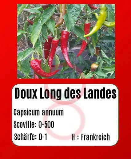 Doux Long des Landes DER TOMATENFLÜSTERER