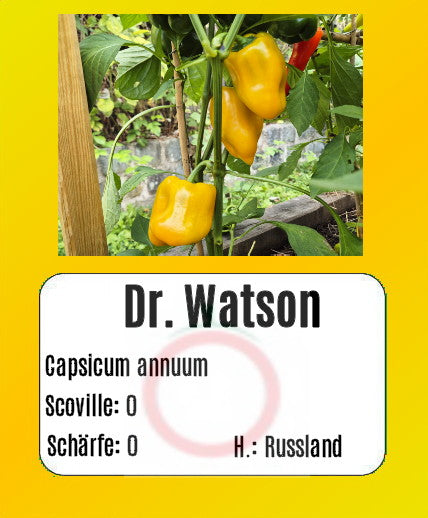 Dr. Watson DER TOMATENFLÜSTERER