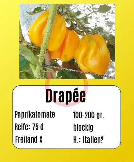 Drapeé DER TOMATENFLÜSTERER