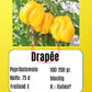 Drapeé DER TOMATENFLÜSTERER
