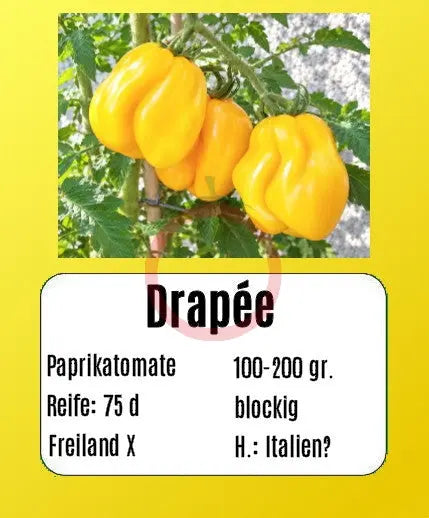 Drapeé DER TOMATENFLÜSTERER