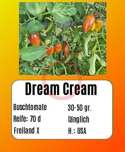 Dream Cream DER TOMATENFLÜSTERER