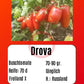 Drova DER TOMATENFLÜSTERER