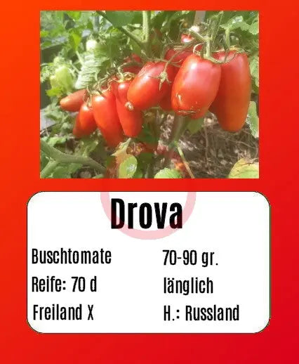 Drova DER TOMATENFLÜSTERER