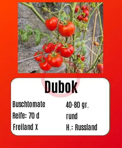 Dubok DER TOMATENFLÜSTERER