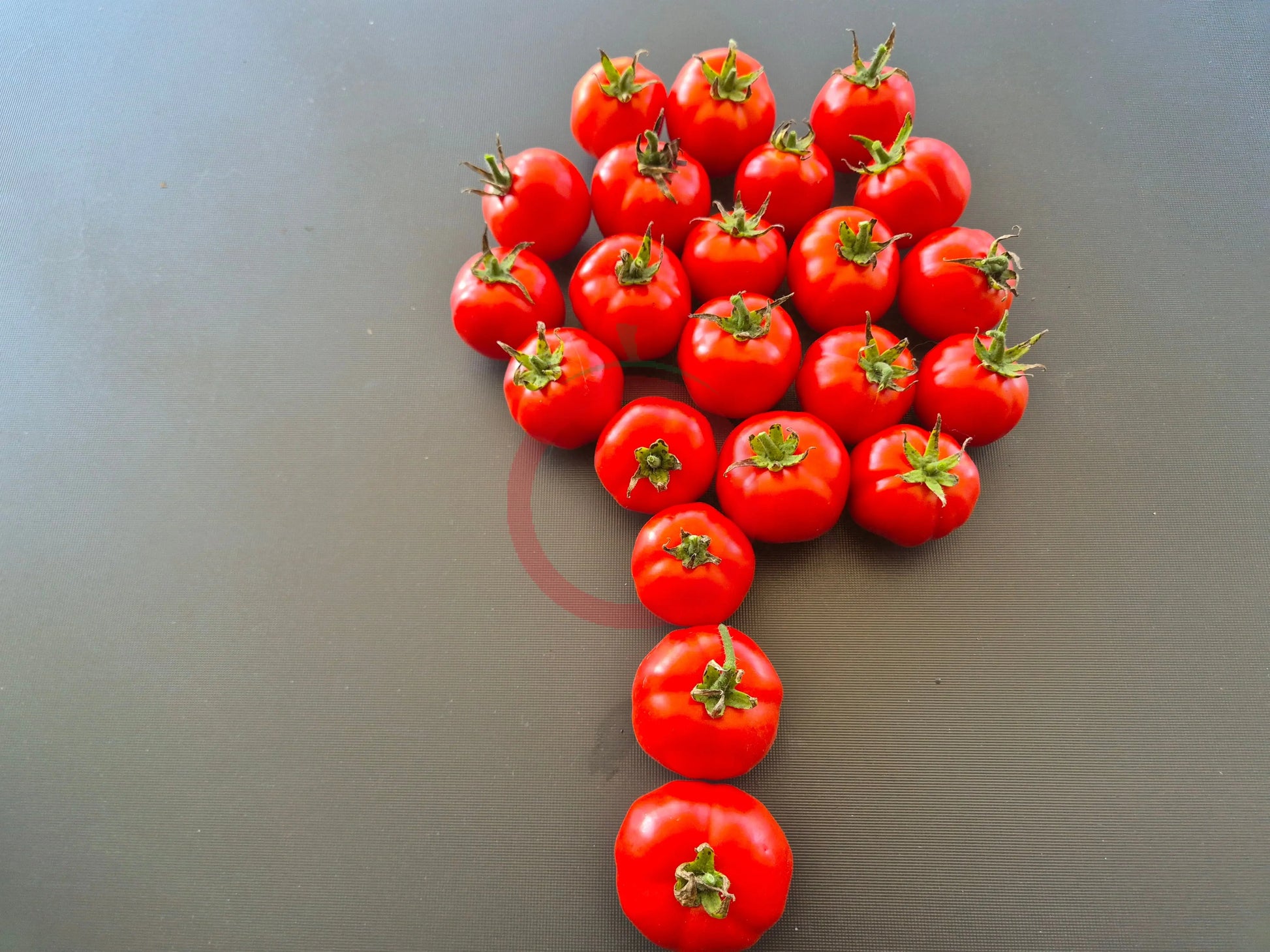 Dubok DER TOMATENFLÜSTERER