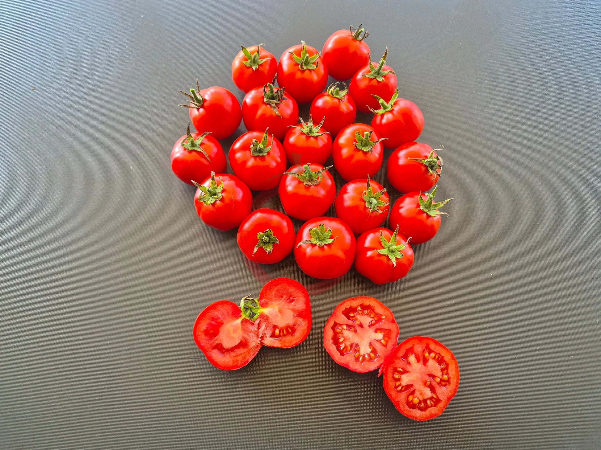 Dubok DER TOMATENFLÜSTERER