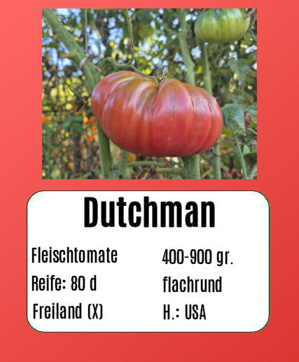 Dutchman DER TOMATENFLÜSTERER
