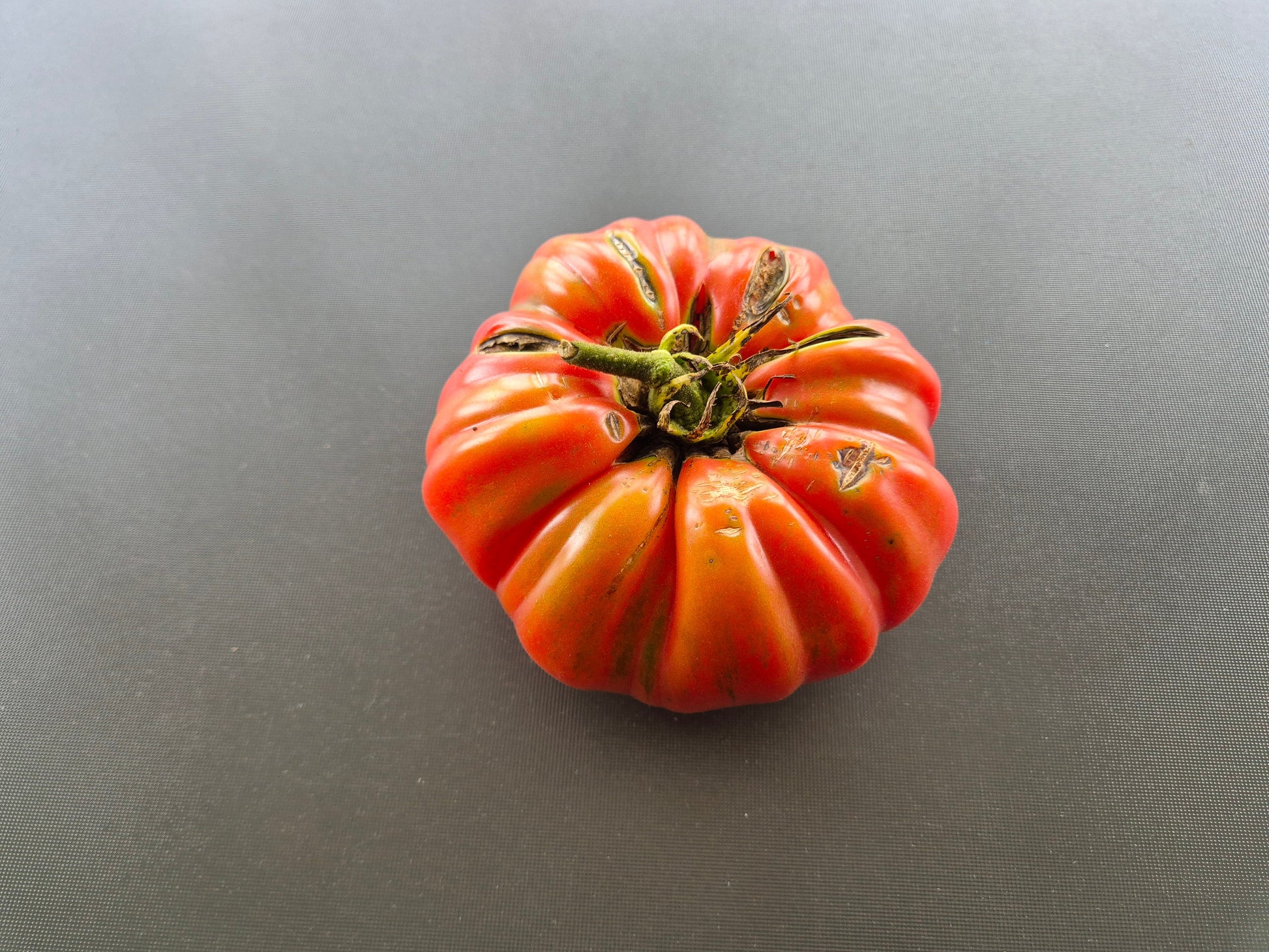 Dutchman DER TOMATENFLÜSTERER