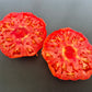 Dutchman DER TOMATENFLÜSTERER