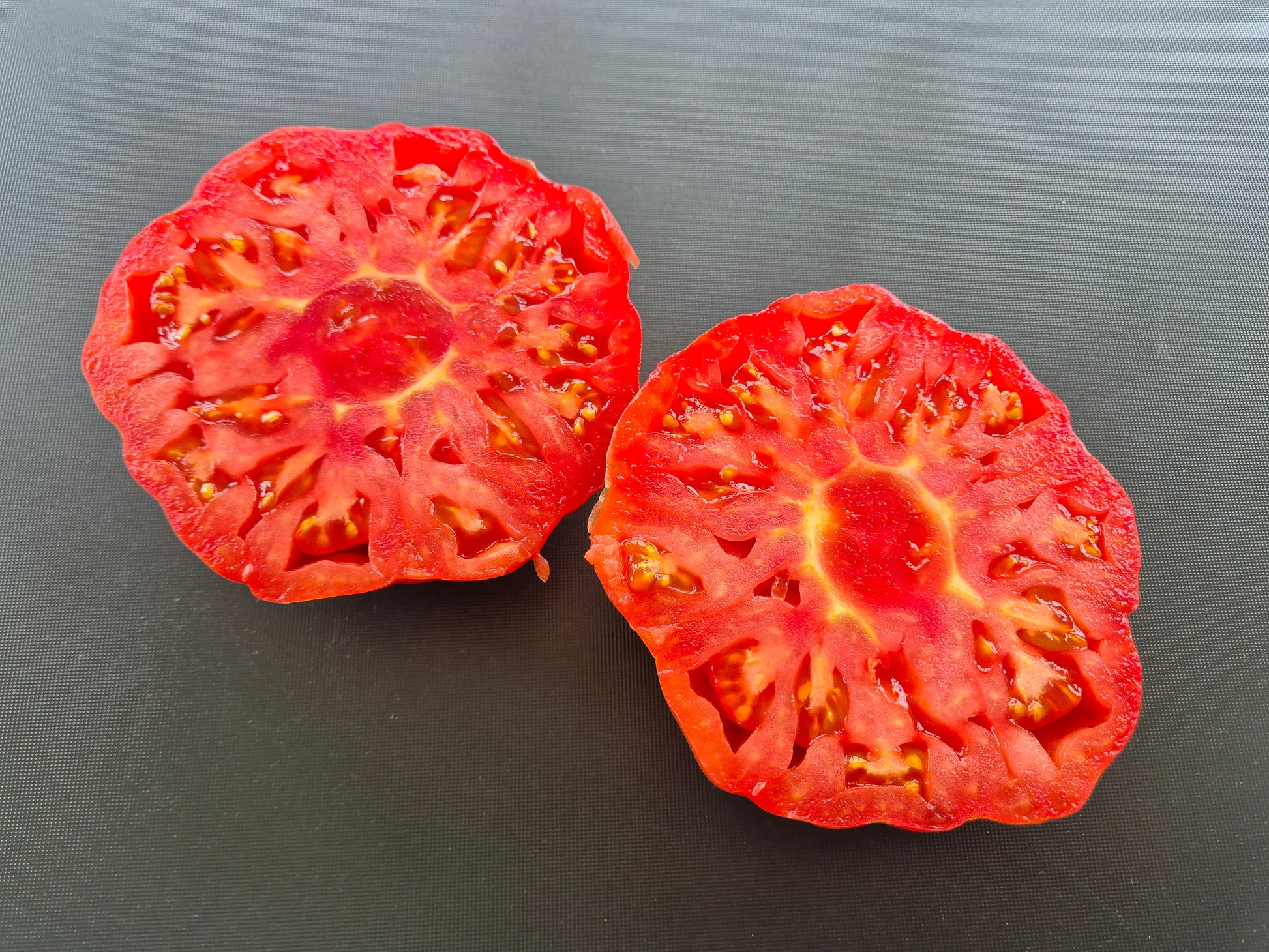Dutchman DER TOMATENFLÜSTERER