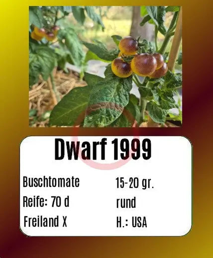 Dwarf 1999 DER TOMATENFLÜSTERER