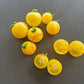 Dwarf Birdie Jaune DER TOMATENFLÜSTERER