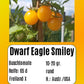 Dwarf Eagle Smiley DER TOMATENFLÜSTERER
