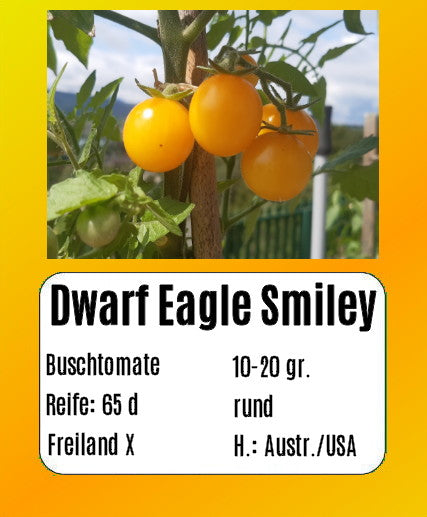 Dwarf Eagle Smiley DER TOMATENFLÜSTERER