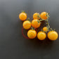 Dwarf Eagle Smiley DER TOMATENFLÜSTERER