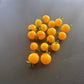 Dwarf Eagle Smiley DER TOMATENFLÜSTERER