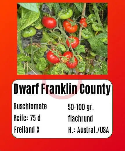 Dwarf Franklin County DER TOMATENFLÜSTERER