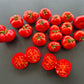 Dwarf Franklin County DER TOMATENFLÜSTERER