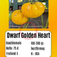 Dwarf Golden Heart DER TOMATENFLÜSTERER