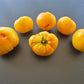 Dwarf Golden Heart DER TOMATENFLÜSTERER