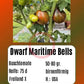 Dwarf Maritime Bells DER TOMATENFLÜSTERER