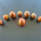 Dwarf Maritime Bells DER TOMATENFLÜSTERER