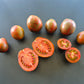Dwarf Maritime Bells DER TOMATENFLÜSTERER