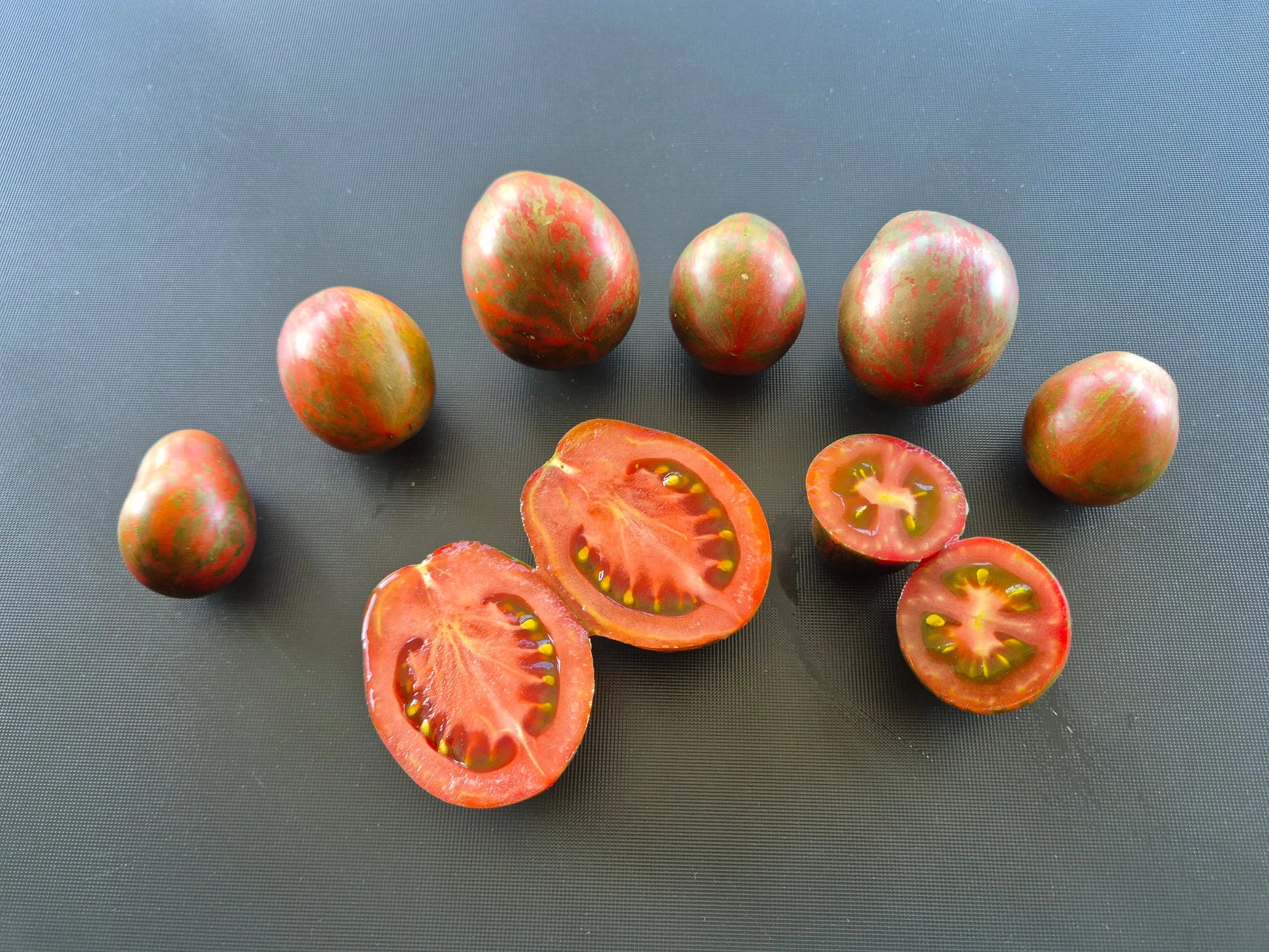 Dwarf Maritime Bells DER TOMATENFLÜSTERER
